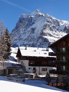 Ferienwohnung in Grindelwald Ansicht Haus von Westen